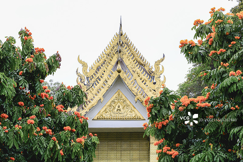 柳州都乐公园玉佛殿图片素材