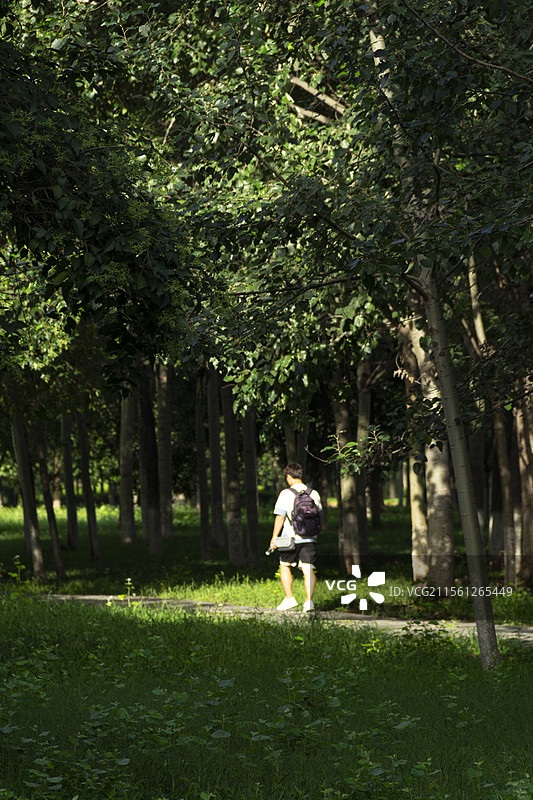 仲夏·长安大学渭水校区图片素材