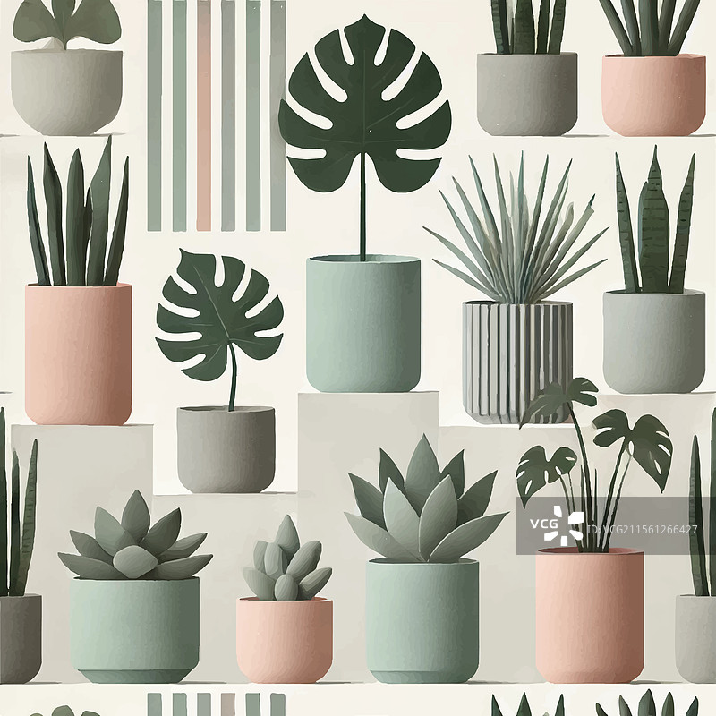 盆栽植物设计装饰在图片素材