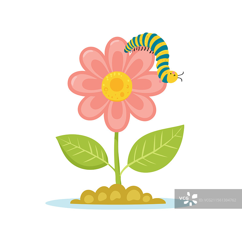 一朵花上爬着一只毛毛虫图片素材