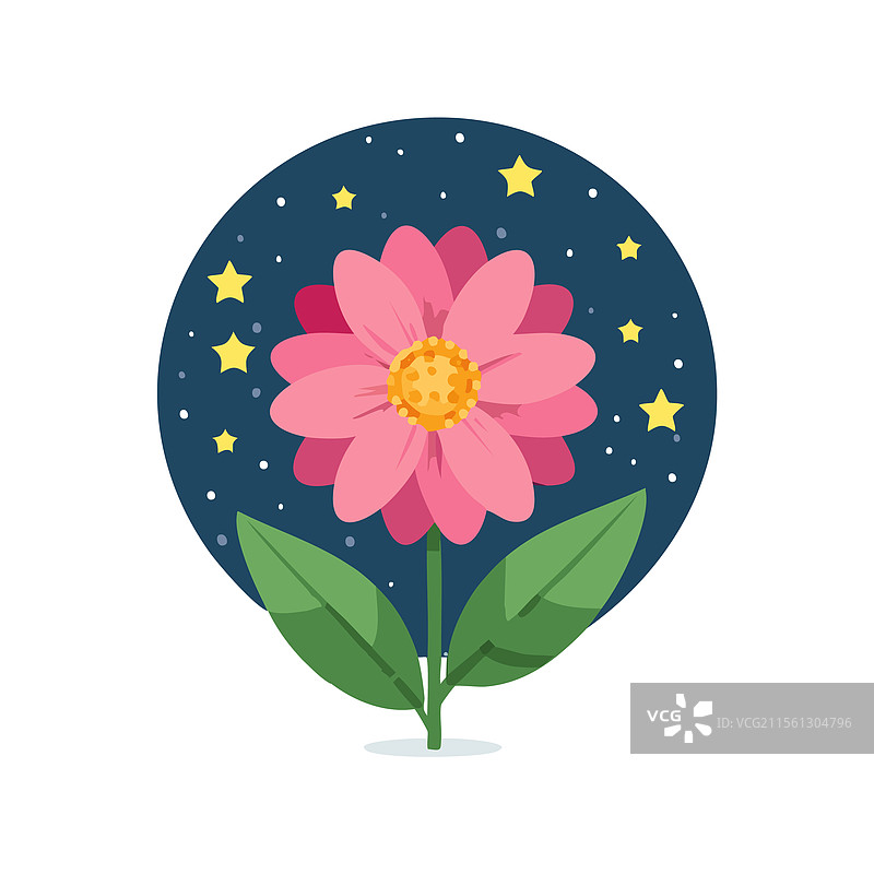 花朵与星空相伴图片素材