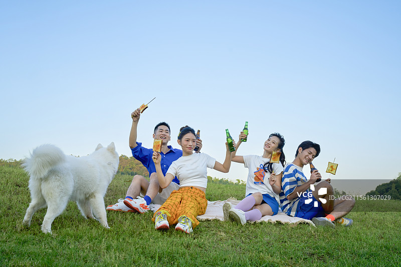 坐在草坪上高举酒瓶的四个年轻人图片素材