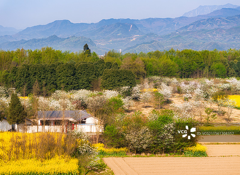 中国四川成都青城山都江堰问花村春季田园风光图片素材