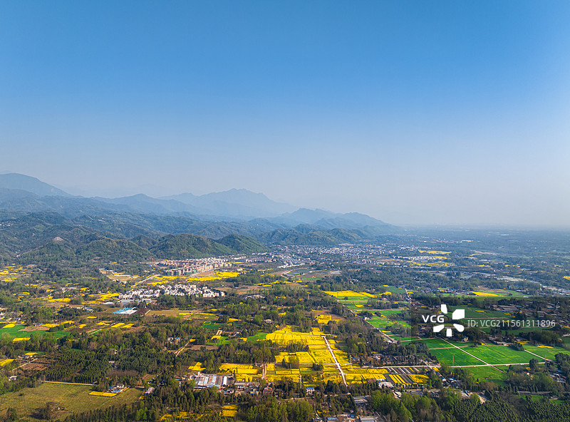 中国四川成都青城山下的油菜花田航拍图图片素材
