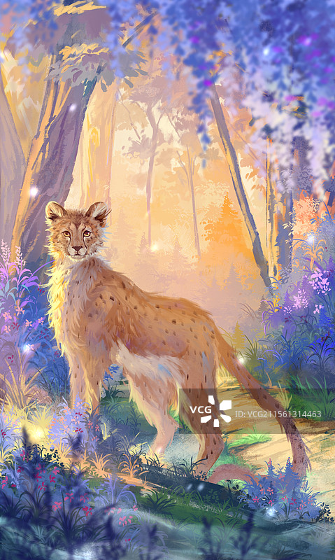 猎豹 丛林图片素材