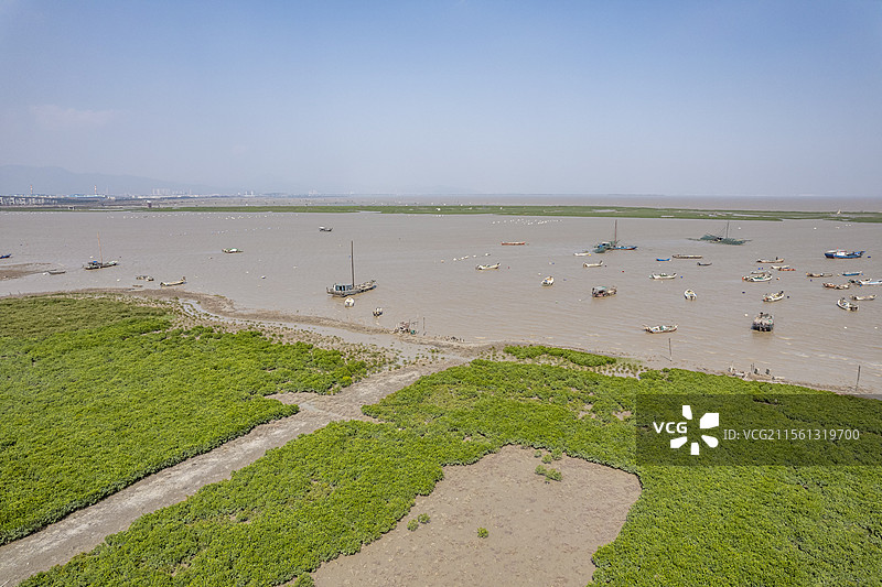 福建莆田木兰溪入海口，东甲滩涂上的红树林湿地公园及渔船的航拍图片素材