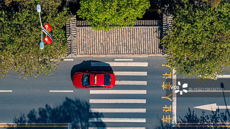 江西峡江：农耕好时节 民兵抛秧忙图片素材
