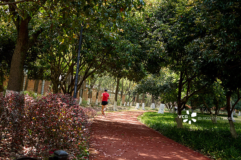 公园里跑步的人们图片素材