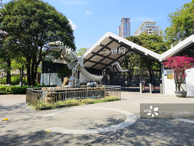 厦门市中山公园动物园大门图片素材