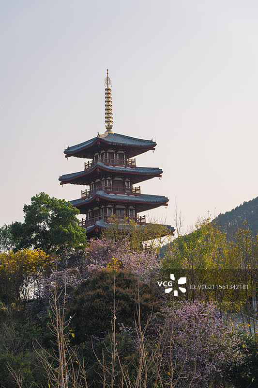 新兴县金台山公园图片素材
