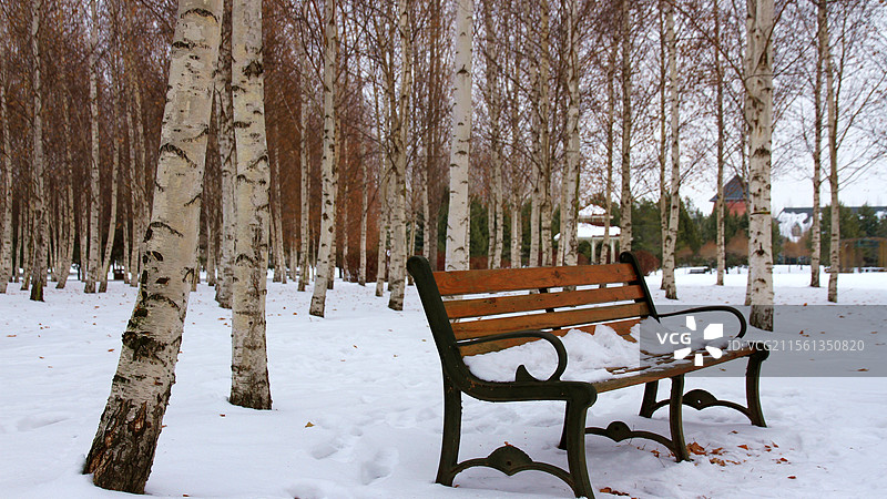 冰雪中白桦林边的长椅图片素材