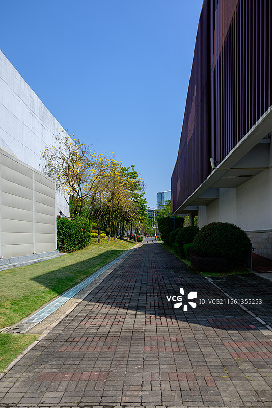 现代城市建筑和空旷的广场道路：南方科技大学校园风景图片素材
