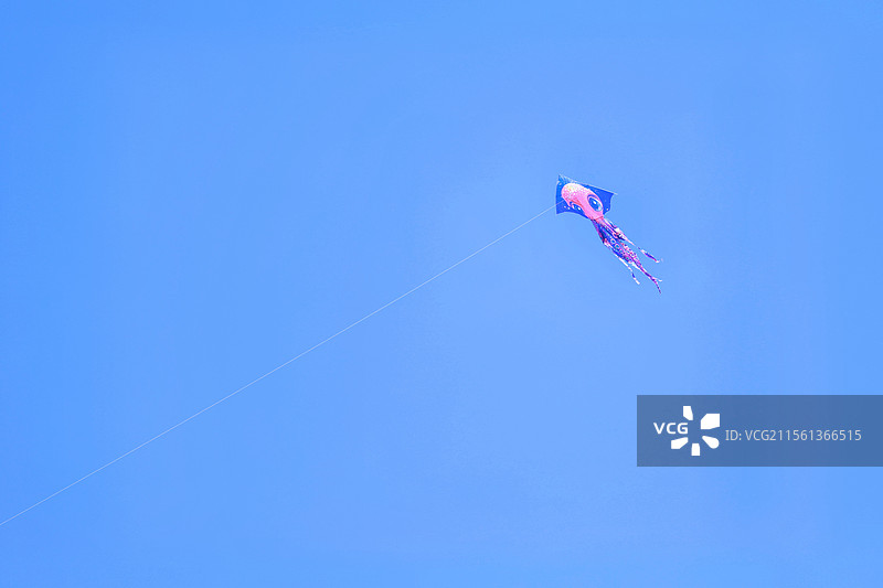 自由的风筝图片素材