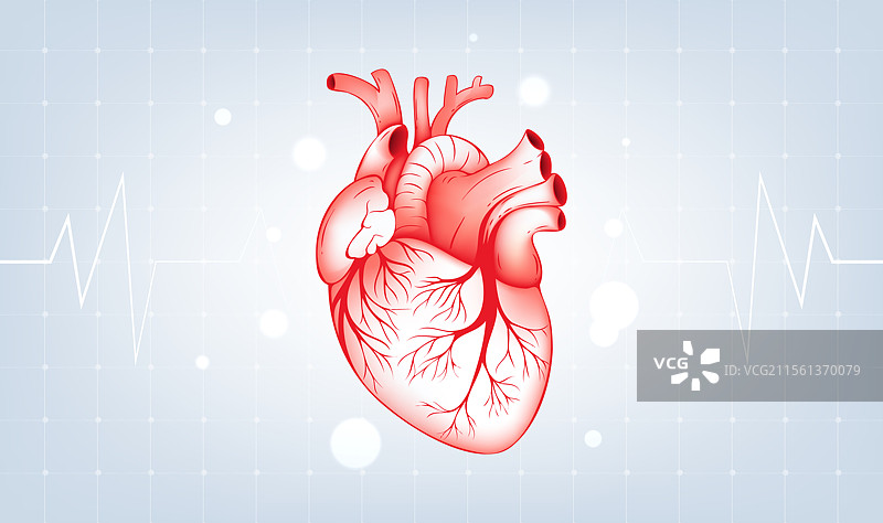 医疗健康插图红色心脏背景是心电图图片素材