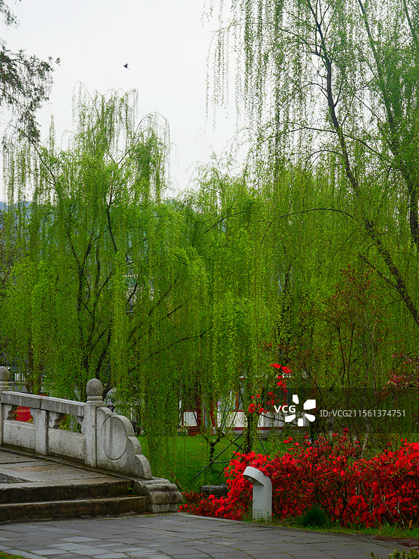 茨坪镇挹翠湖图片素材