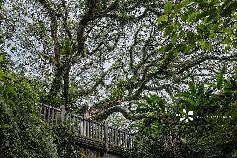 新加坡福康宁图片素材