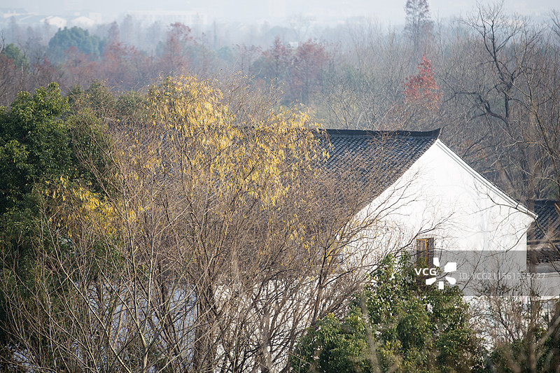 杭州西溪湿地河渚街图片素材