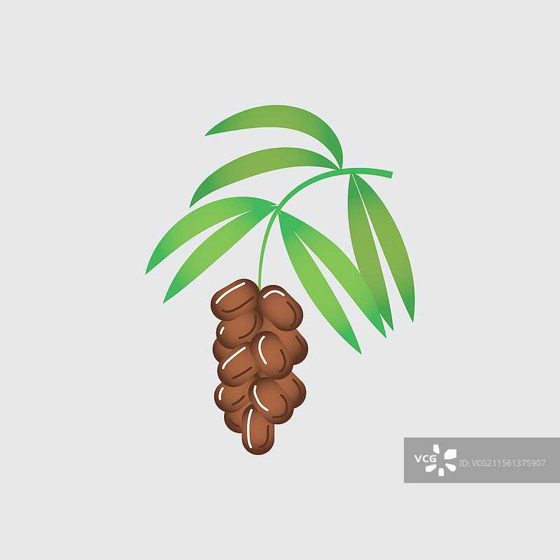 渐变的椰枣树，适合斋月使用图片素材