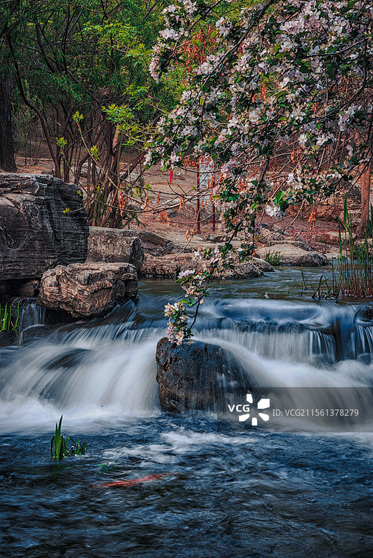 奥森公园的溪流瀑布图片素材