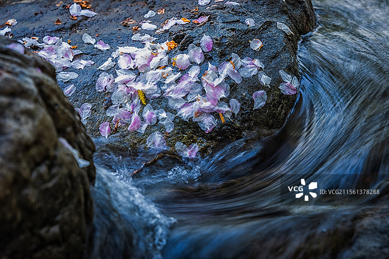 奥森公园的溪流瀑布图片素材