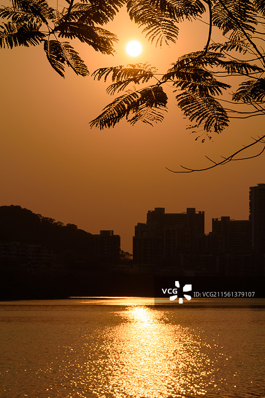 东莞水濂湖公园日落剪影美景夕阳映照湖水泛起金色波光图片素材