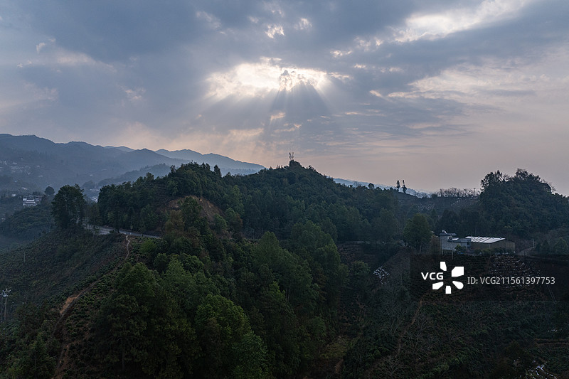 云南省凤庆县日出时分茶山风光图片素材