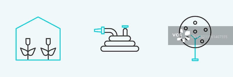 温室中的植物和树木排列整齐图片素材