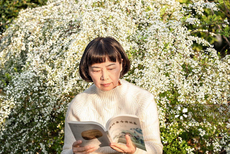 花丛中的阅读时光图片素材