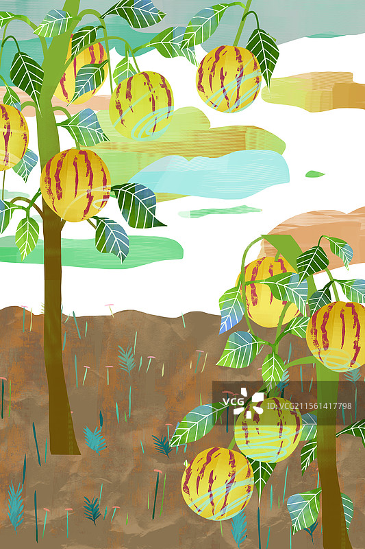 人参果插画背景图片素材