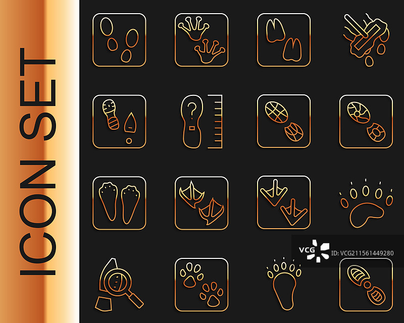 人类脚印、鞋子、熊爪、骆驼的足迹排列在一起图片素材