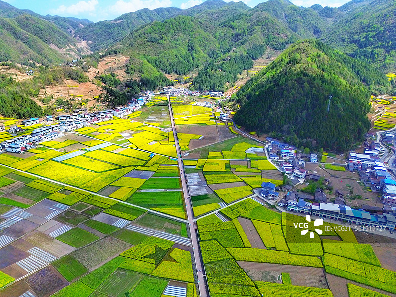 陕西省汉中市镇巴县黎坝镇油菜花海油菜花田农业村庄航拍全景绿色黄色图片素材