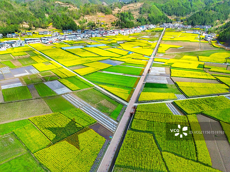 陕西省汉中市镇巴县黎坝镇油菜花海油菜花田农业村庄航拍全景绿色黄色图片素材