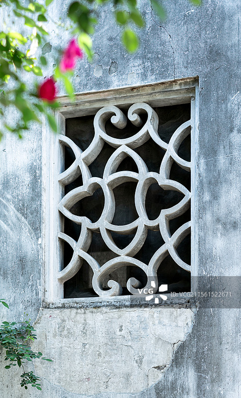 苏州园林，艺圃，蔷薇花图片素材