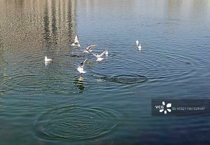 梦幻家园——拍摄于呼和浩特赛罕区图片素材