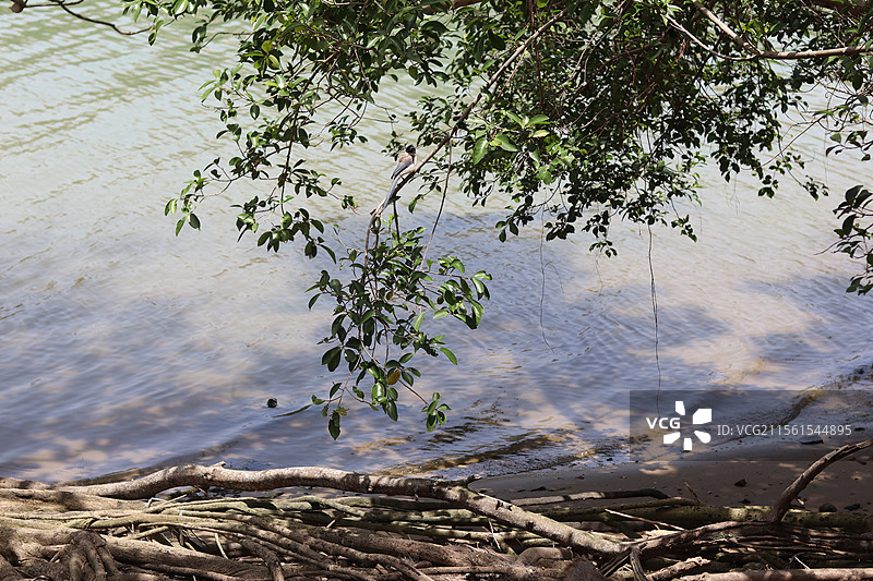 海口假日海滩度假区图片素材