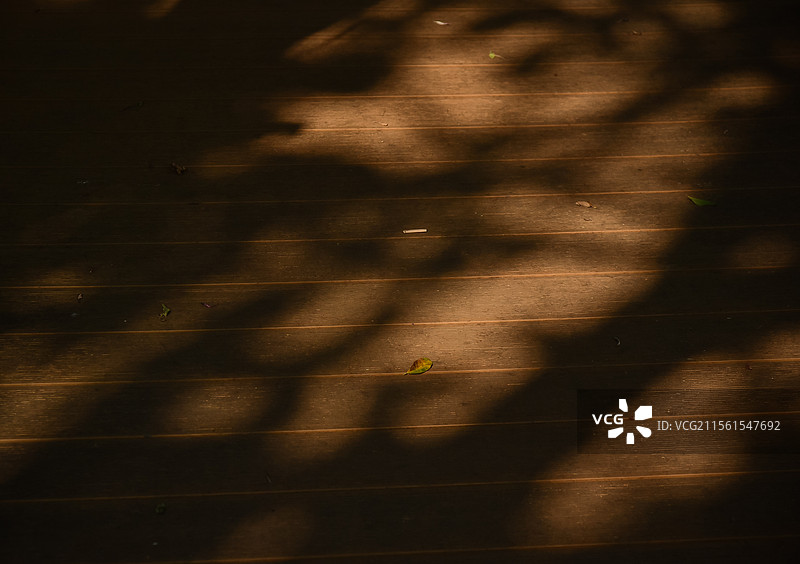 阳光照在地板上的高角度视图图片素材