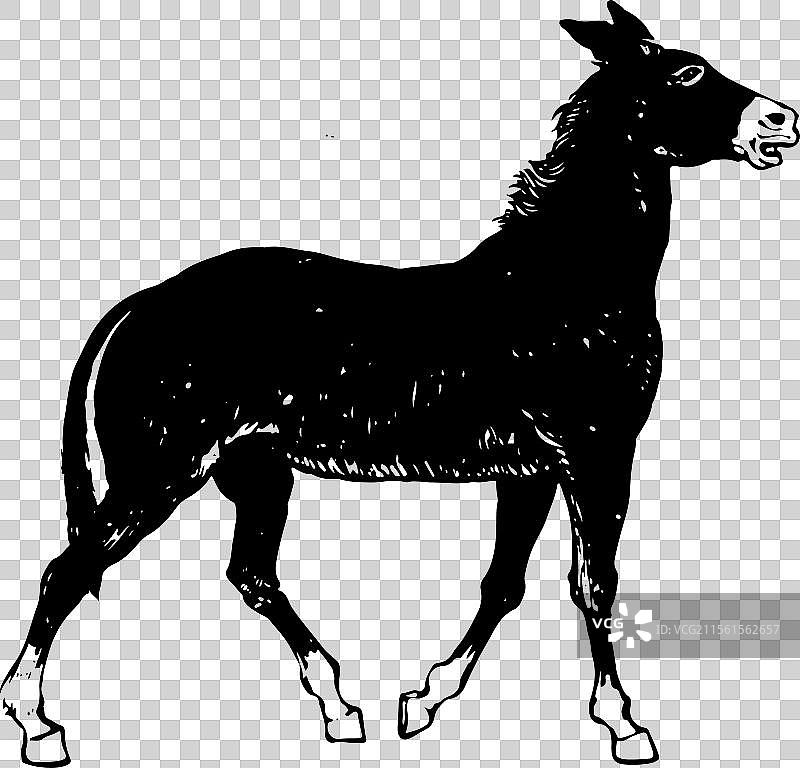 手绘 简笔画 元素 动物 毛驴 驴肉火烧图片素材