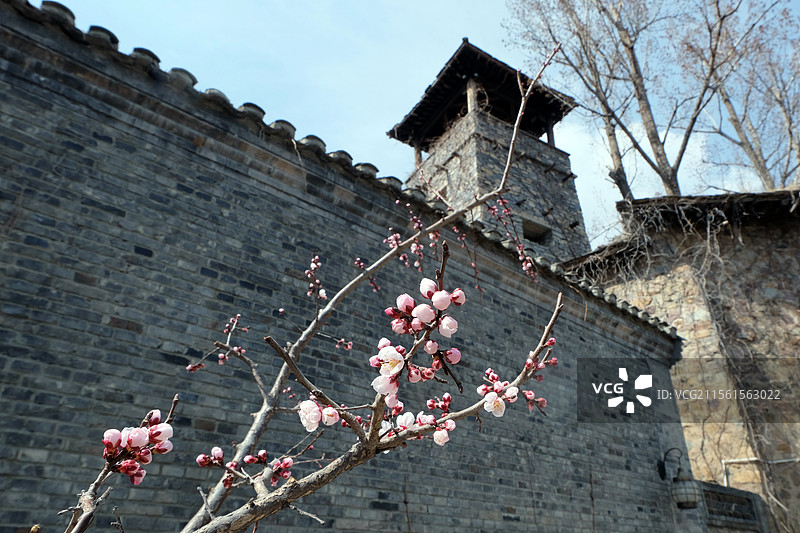 古北水镇的桃花和瞭望台图片素材