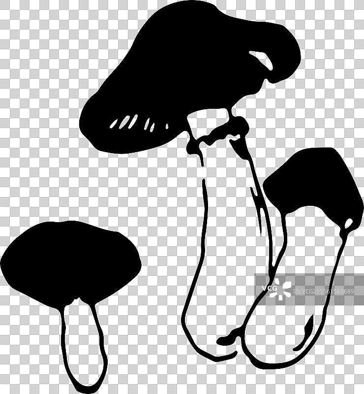 黑白线条简笔画图案元素 蘑菇 菌类 采蘑菇图片素材