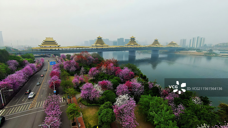半江春水半城花图片素材