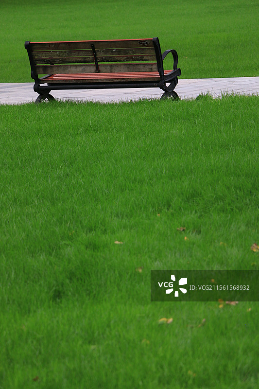 重庆中央公园阳光大草坪图片素材