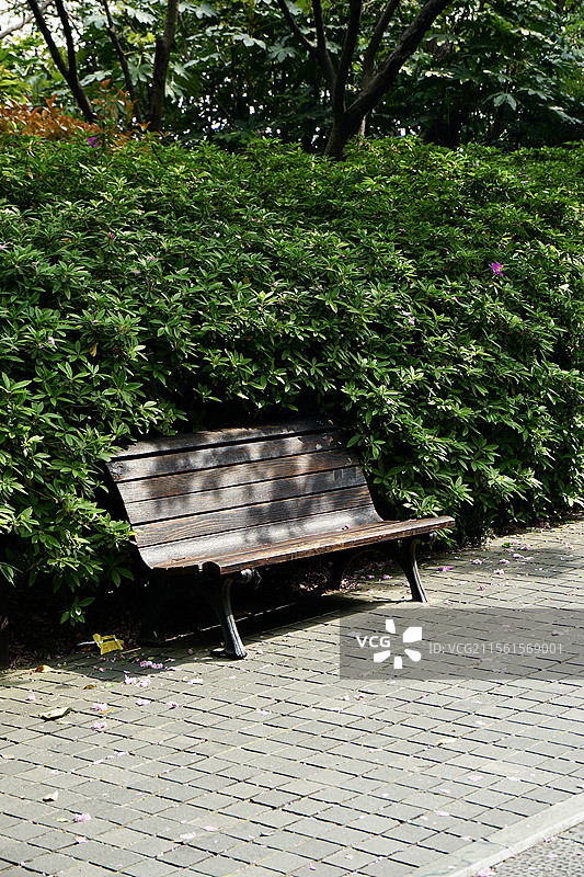 公园里的椅子 春天图片素材