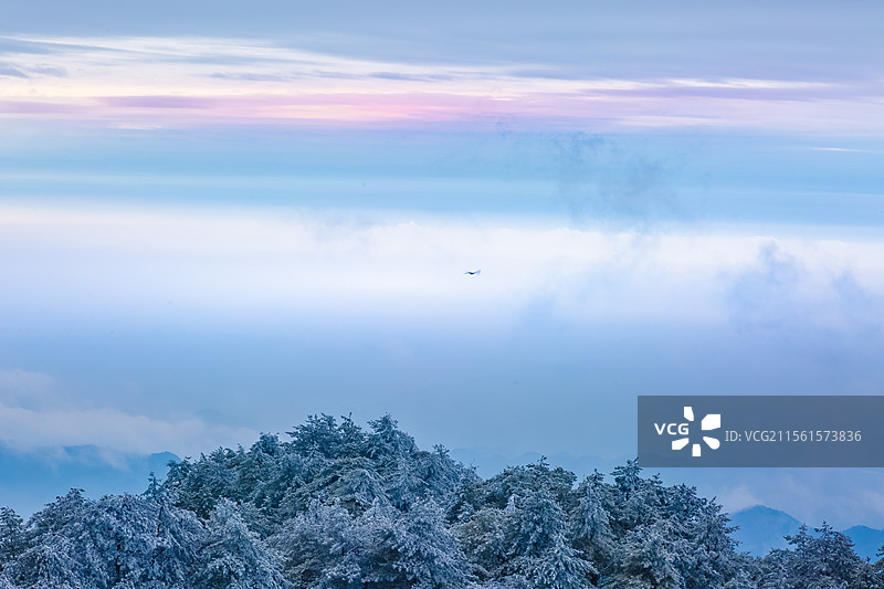 湖北通山县九宫山晚霞云雾白雪中的飞鸟图片素材