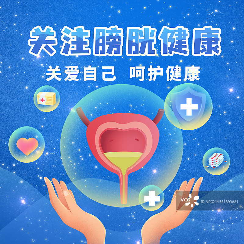 膀胱医疗保健泌尿外科人体健康前列腺预防膀胱炎图片素材