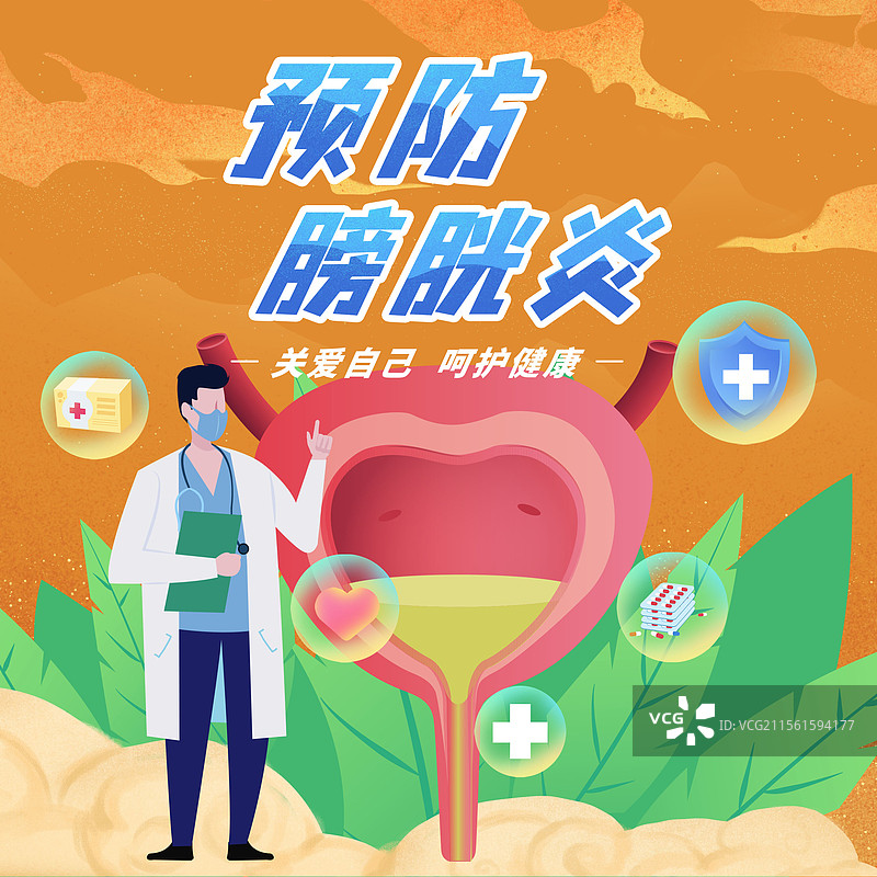 膀胱医疗保健泌尿外科人体健康前列腺预防膀胱炎图片素材