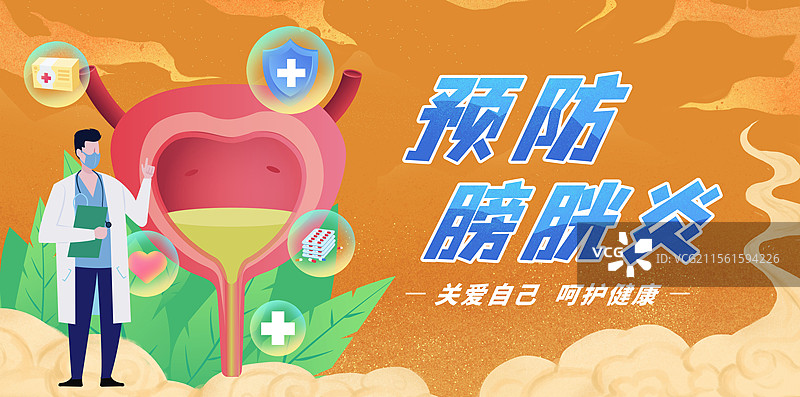 膀胱医疗保健泌尿外科人体健康前列腺预防膀胱炎图片素材