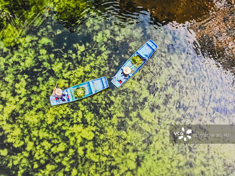 广东版仙本娜（佛山亚洲艺术公园工人打捞青苔作业）。图片素材