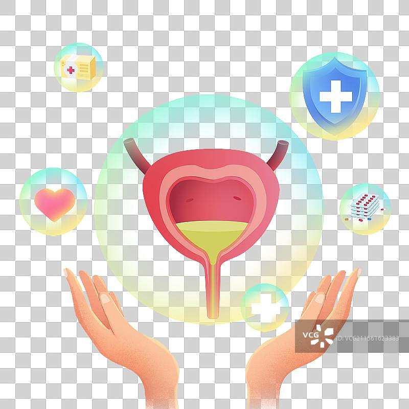 膀胱医疗保健泌尿外科人体健康前列腺预防膀胱炎图片素材