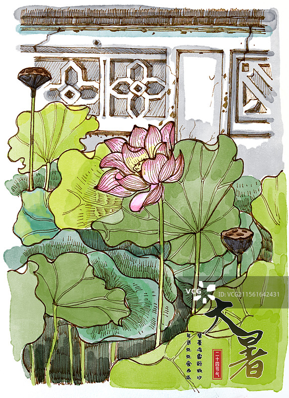 大暑节气池塘荷花水彩风景海报图片素材