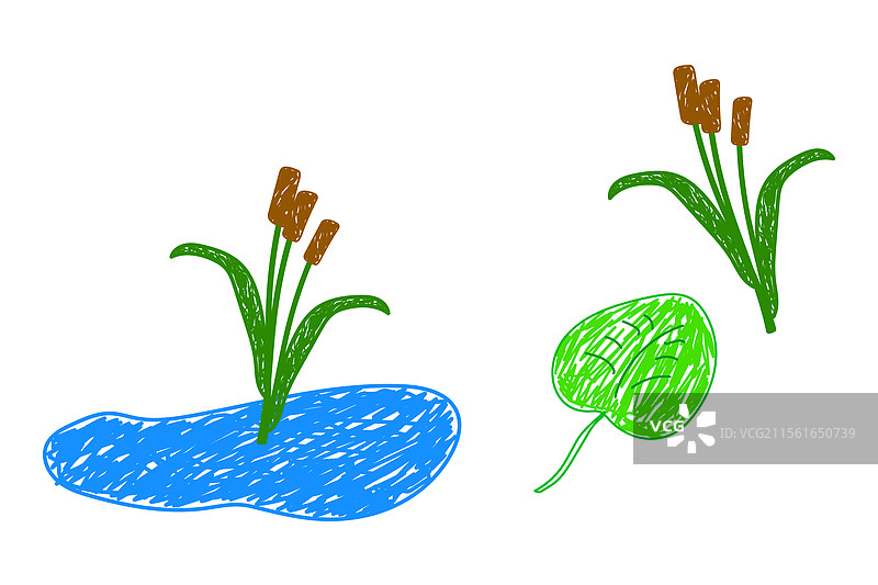 手绘的芦苇和池塘图片素材